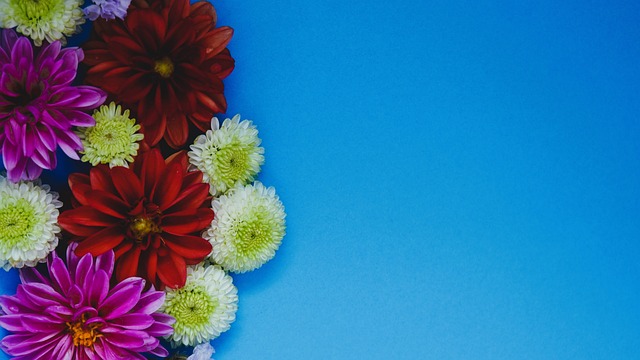 米切尔&莫布利首节合砍26分，其他队友合计只得7分