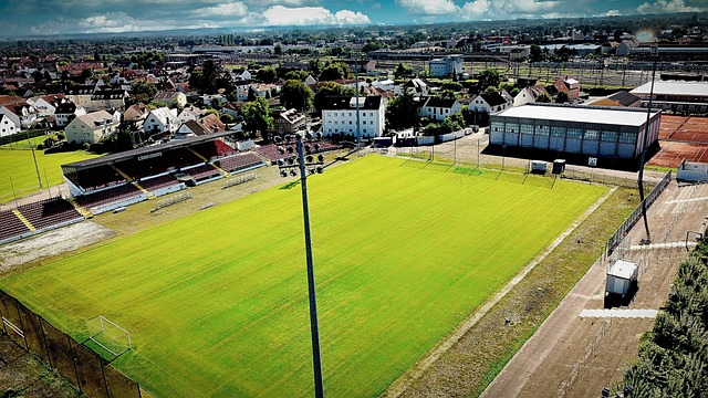 41岁罗本已成为职业板网球手，拥有3个积分世界排名第1980位